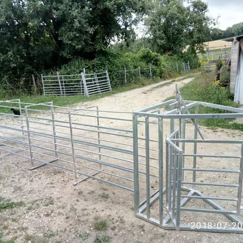 OVCA 47 MANGA DE MANEJO GALVANIZADA: NUESTROS PRODUCTOS de Grupo Medina