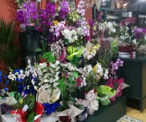 Floristería en A Coruña