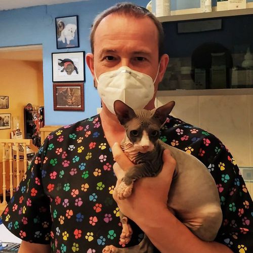 Cirugía veterinaria Chamartín Madrid | Clínica Veterinaria Dog And Cat