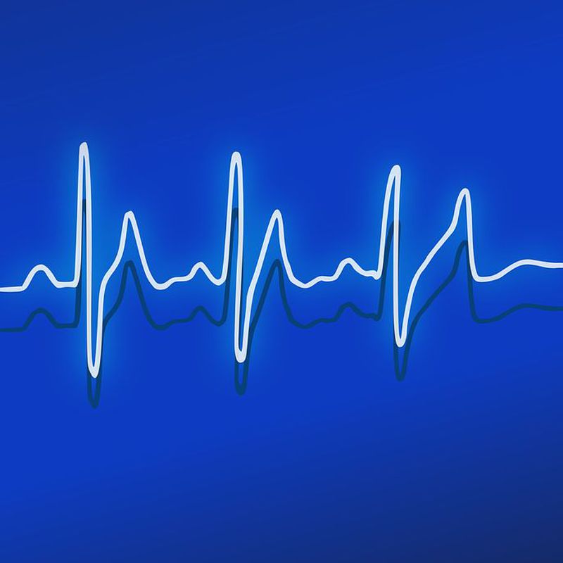 Cardiología: Servicios de Centro Veterinario Azuqueca