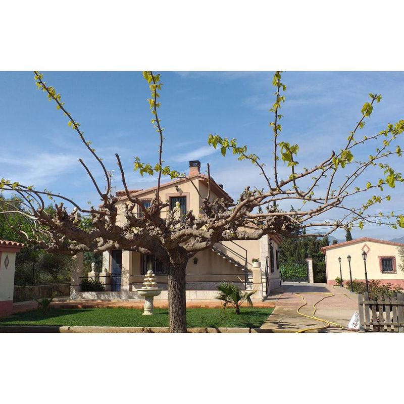 Roquetes Paratge Colomar - Chalet en Venta - Exp:13333: Inmuebles de Fincas Baix Ebre