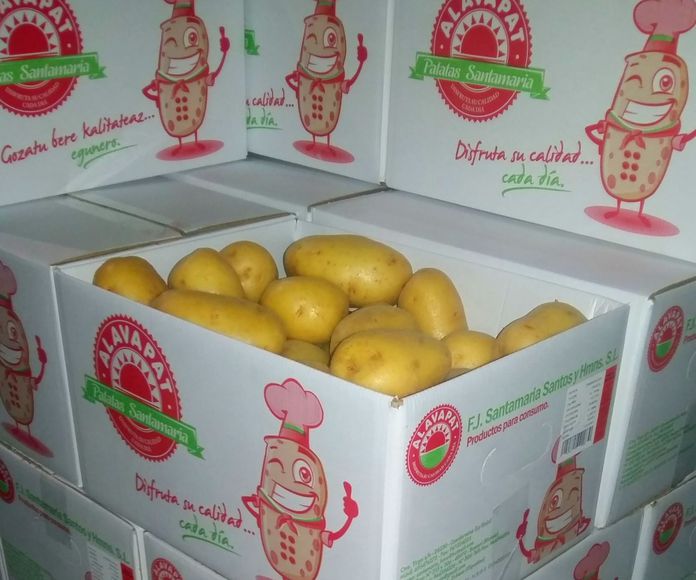 ALAVAPAT BOX: Productos de Patatas Santamaría 