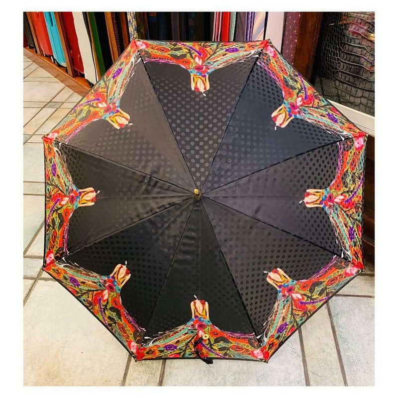 Paraguas Sra. largos: Productos de Curtidos Domínguez