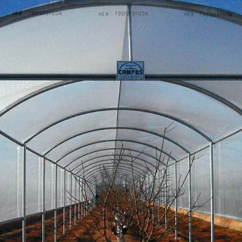 Invernaderos Tipo Túnel: Invernaderos de Invernaderos Campos