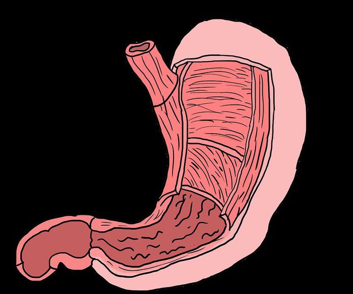 Gastroenterología: Servicios médicos de Prats Alonso, E.