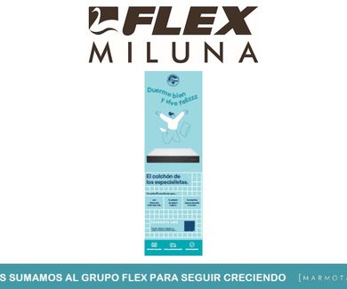 Distribuidores exclusivos de Marmota en Vizcaya
