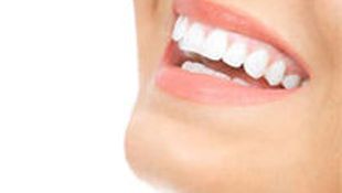 Imagen de Catálogo - Nuestro equipo