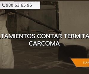 Control de plagas en Zamora | Garsanben Control de Plagas
