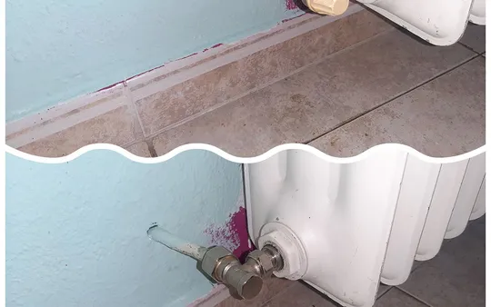 Imagen 6 de la galería