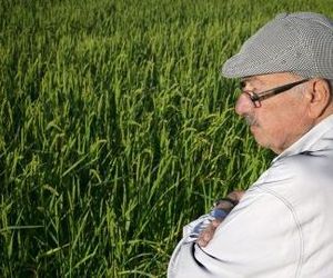 Mayoristas arroz de Calasparra