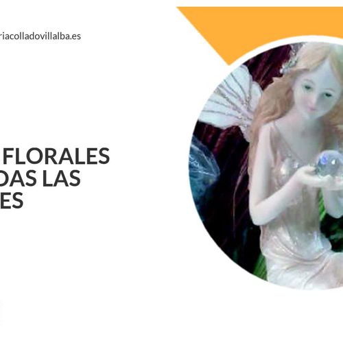 Floristerías en Collado Villalba | Flores Toñi