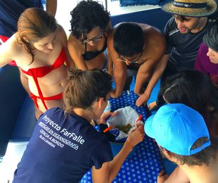 Science on board with Proyecto Farfalle