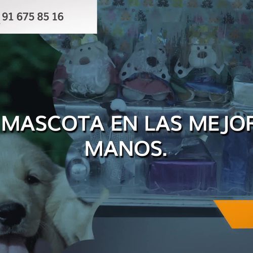 Peluquería canina en Torrejón de Ardoz