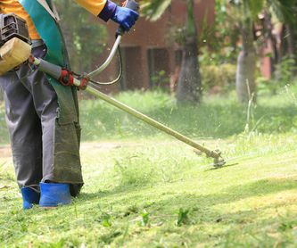 Tratamientos de plagas en jardines: Servicios de Indigo Jardines