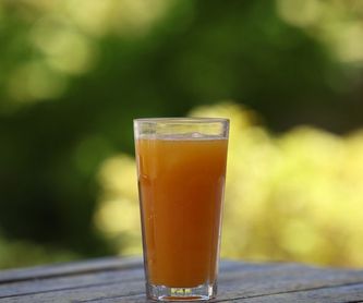 Miel de azahar 1 kg: Productos de Naranjas Julián