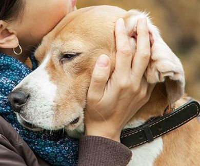 Cuidar a una mascota enferma: El enorme costo emocional del que nadie habla