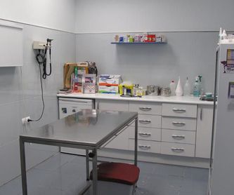Diagnóstico por imagen: Servicios de Centro Veterinario Azuqueca