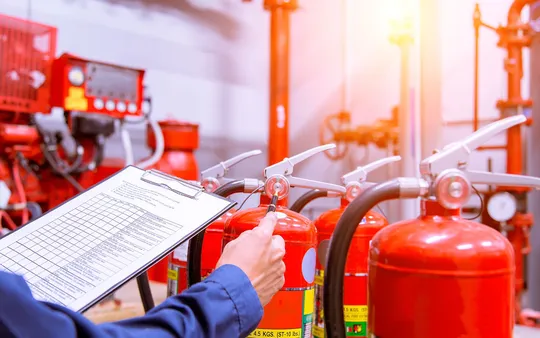 Imagen 6 de la galería