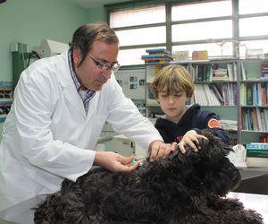 Veterinarios vacunas Zaragoza