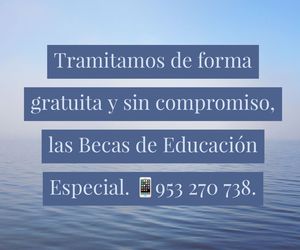TRAMITAMOS GRATIS LAS BECAS DE EDUCACIÓN ESPECIAL
