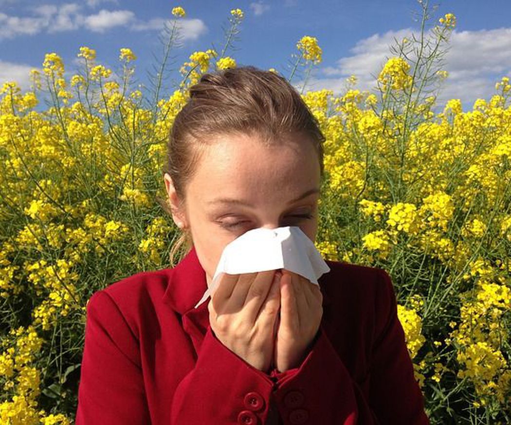 Terapia kinesiológica para combatir alergias
