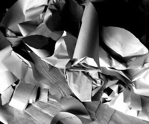 Servicio de recogida y destrucción de papel