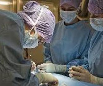 Cirugía y medicina general: Servicios de Clínica Veterinaria Plutos