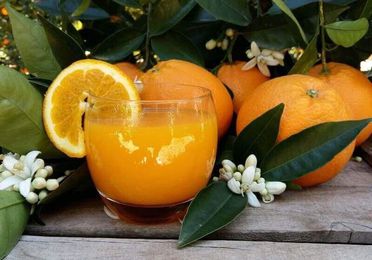 Naranjas de zumo pequeño 10 kg