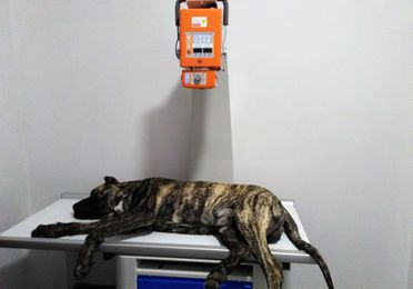 Análisis y diagnóstico