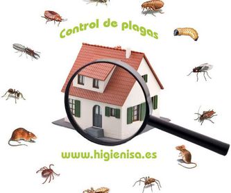 Control de Plagas en Alicante: Desinsectación en Alicante: Nuestros Servicios de Higienisa y Control de Plagas, Desinfección, Fumigación