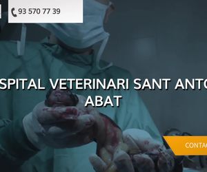 Hospital veterinario en Mollet del Vallès | Hospital Veterinari Sant Antoni Abat