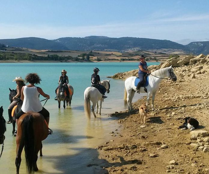 Turismo ecuestre: Servicios de Centro de Equitación y Equinoterapia Biki Blasco
