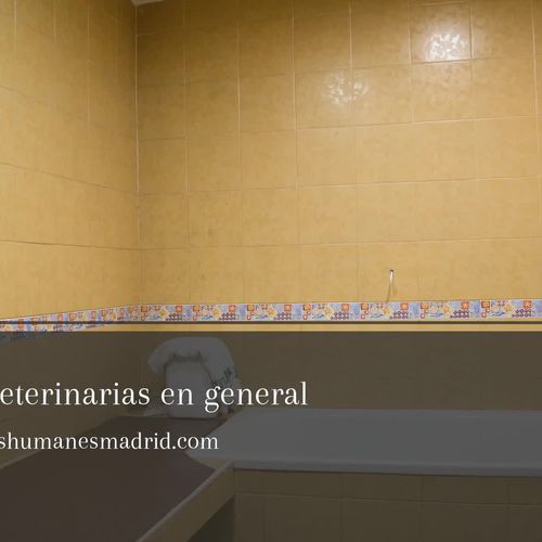 Clínica veterinaria en Humanes de Madrid | Clínica Veterinaria San Antón