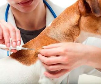 SALUD E HIGIENE: Tratamientos y especilidades de Centro veterinario El Lagar