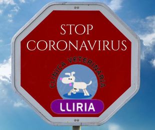 Resuelve tus dudas sobre el Coronavirus
