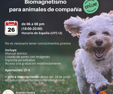 BIOMAGNETISMO PARA ANIMALES DE COMPAÑIA