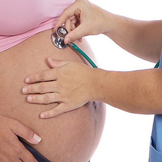¿Qué alimentos no deberían comer las embarazadas?