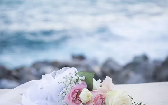 Imagen 6 de la galería