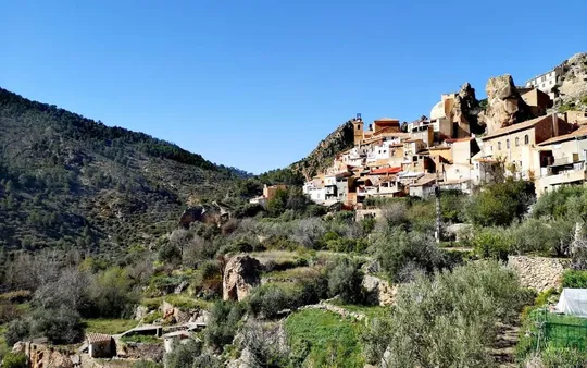 Imagen 7 de la galería