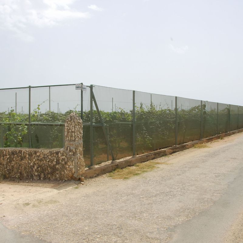 Cerramientos para pistas de Padel: Invernaderos de Invernaderos Campos