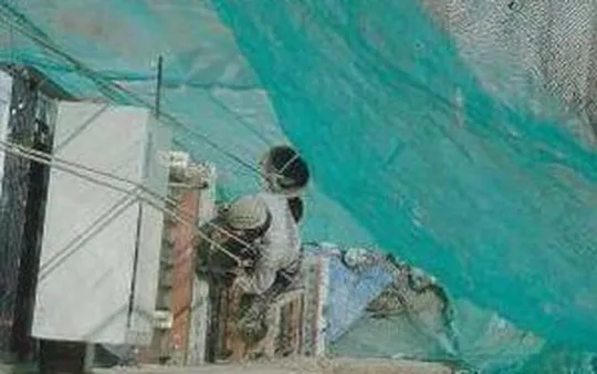 Imagen 6 de la galería