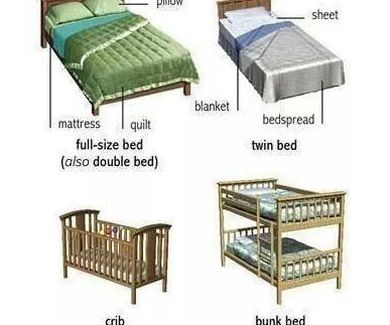 Vocabulary: beds