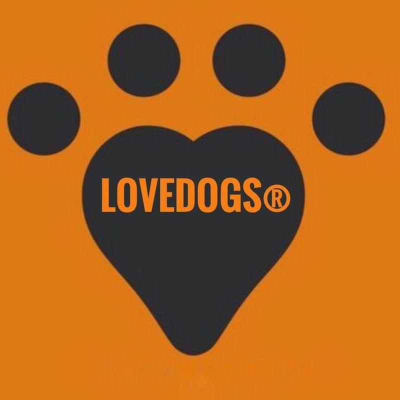 Lovedogs tiendas para mascotas