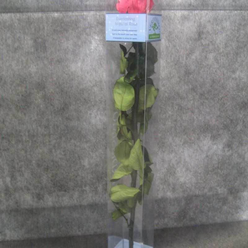 Rosa Preservada Rosa: Nuestras flores de Bouquet Flores y Plantas