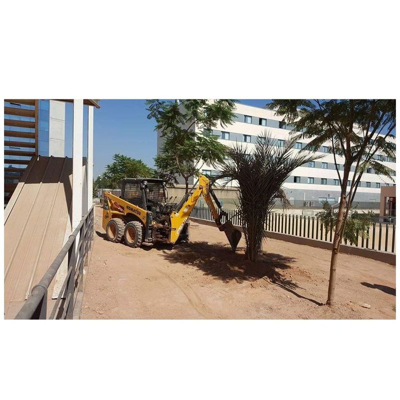 Limpiezas y arreglos de jardines: Servicios de Excavaciones y Derribos en Murcia Hermanos Sánchez