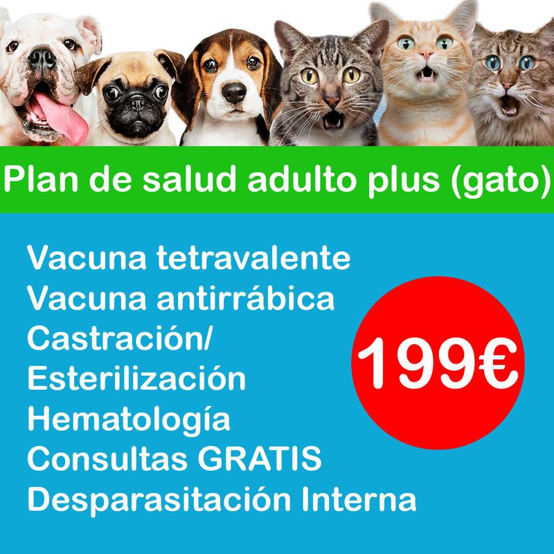 Plan de salud anual Plus (gatos):  de Punto Pet Clínica Veterinaria