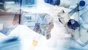 Imagen de Servicios - Todo tipo de gestiones en calidad de productos