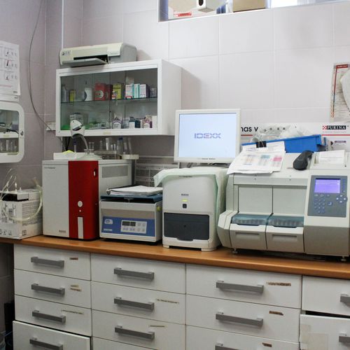 Veterinarios en Madrid | Centro Veterinario Aluche Las Águilas