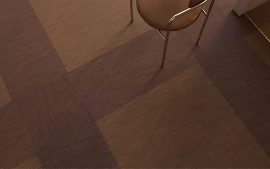 Imagen 3 de la galería