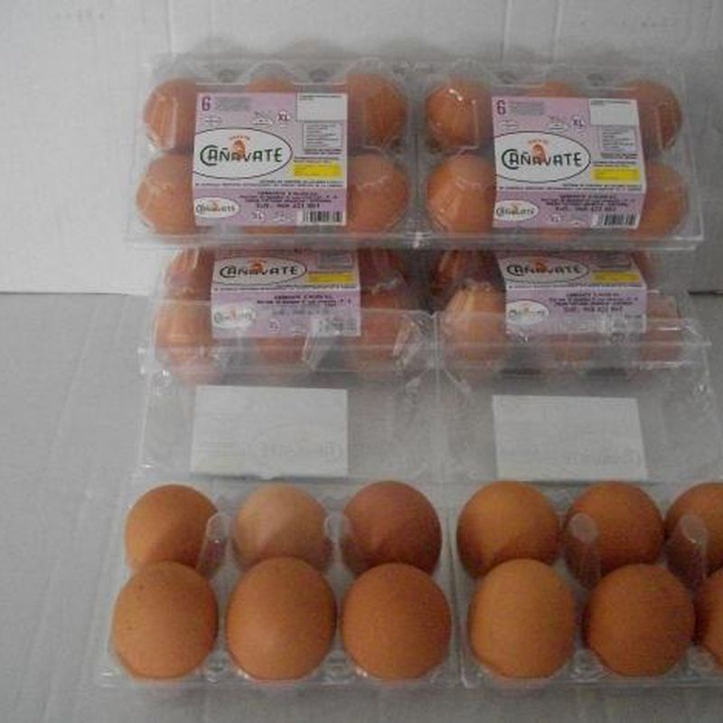 Huevos Ecológicos: Productos de Huevos Cañavate